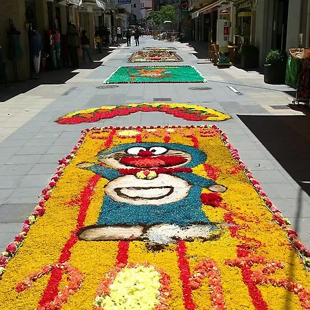 Estudis Els Molins Apartahotel
